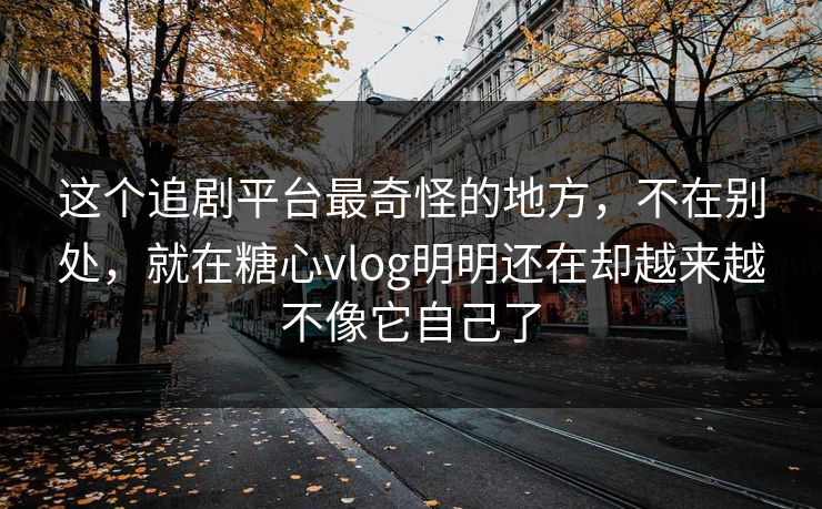 这个追剧平台最奇怪的地方，不在别处，就在糖心vlog明明还在却越来越不像它自己了